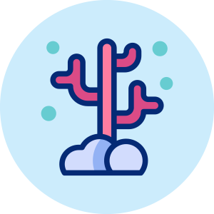 Custom tank builds & installations