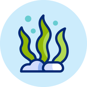 System upgrades & enhancements